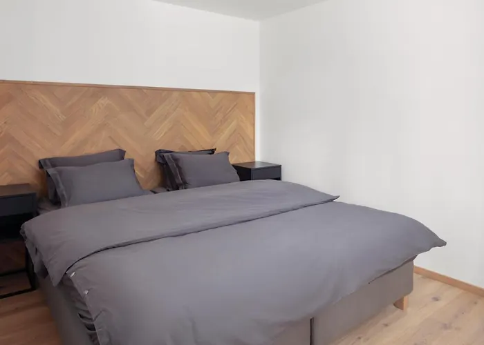 Vila Hradistko Holiday home *